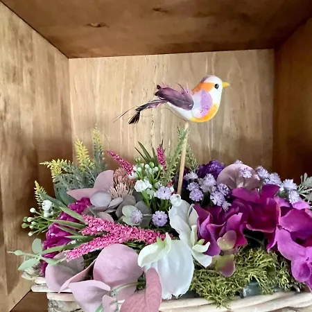 Con Encanto Rulina * Пуэртомарин